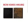 IC BCM 43455 HKUBG